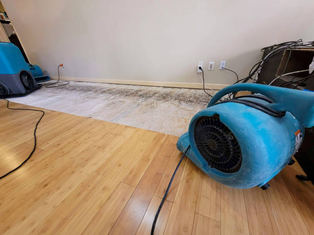 Professional Water Removal technician working in Meddybemps, ME